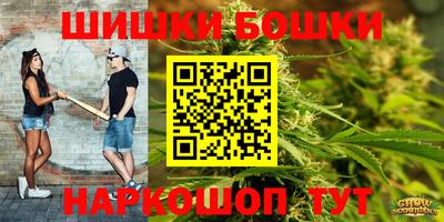 гидра Берёзовский