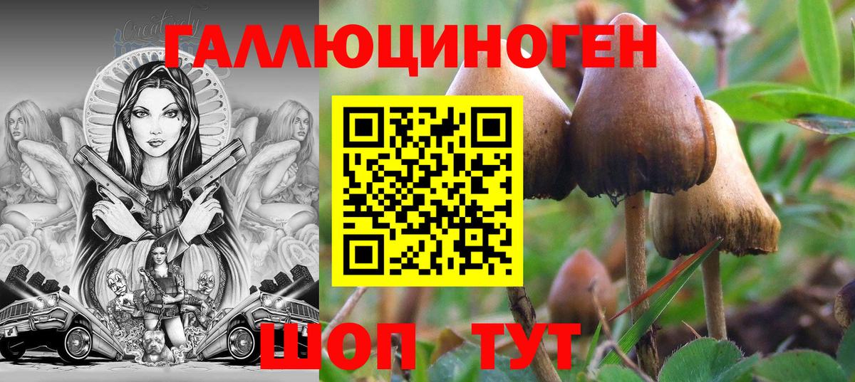 Псилоцибиновые грибы мухоморы Каспийск