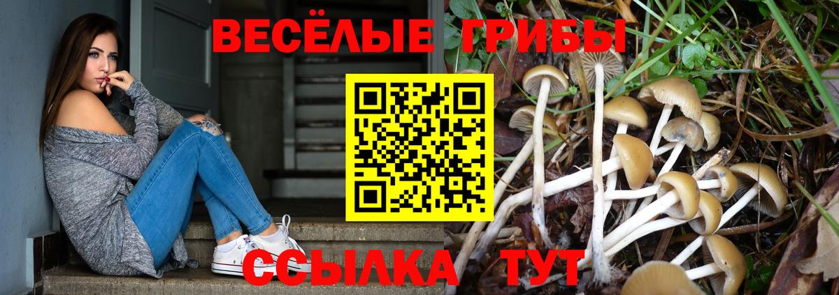 Каспийск  Псилоцибиновые грибы прущие грибы  Галлюциногенные грибы Cubensis  Вход с VPN 